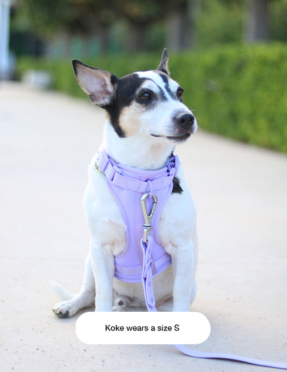 Lavender Lilac Comfort Harness