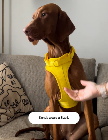 Kit Paseo Honey Yellow