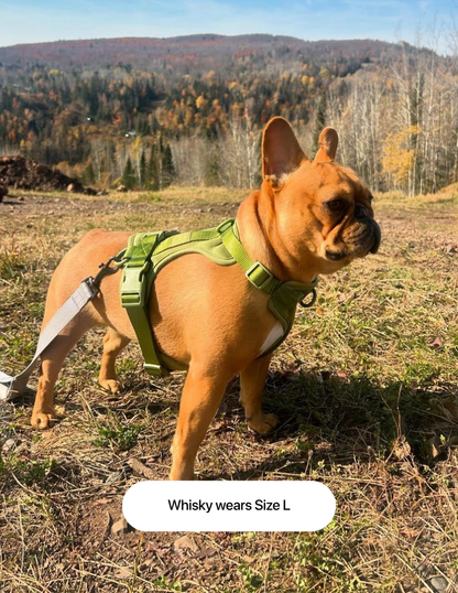 Pettorina Comfort Matcha Green