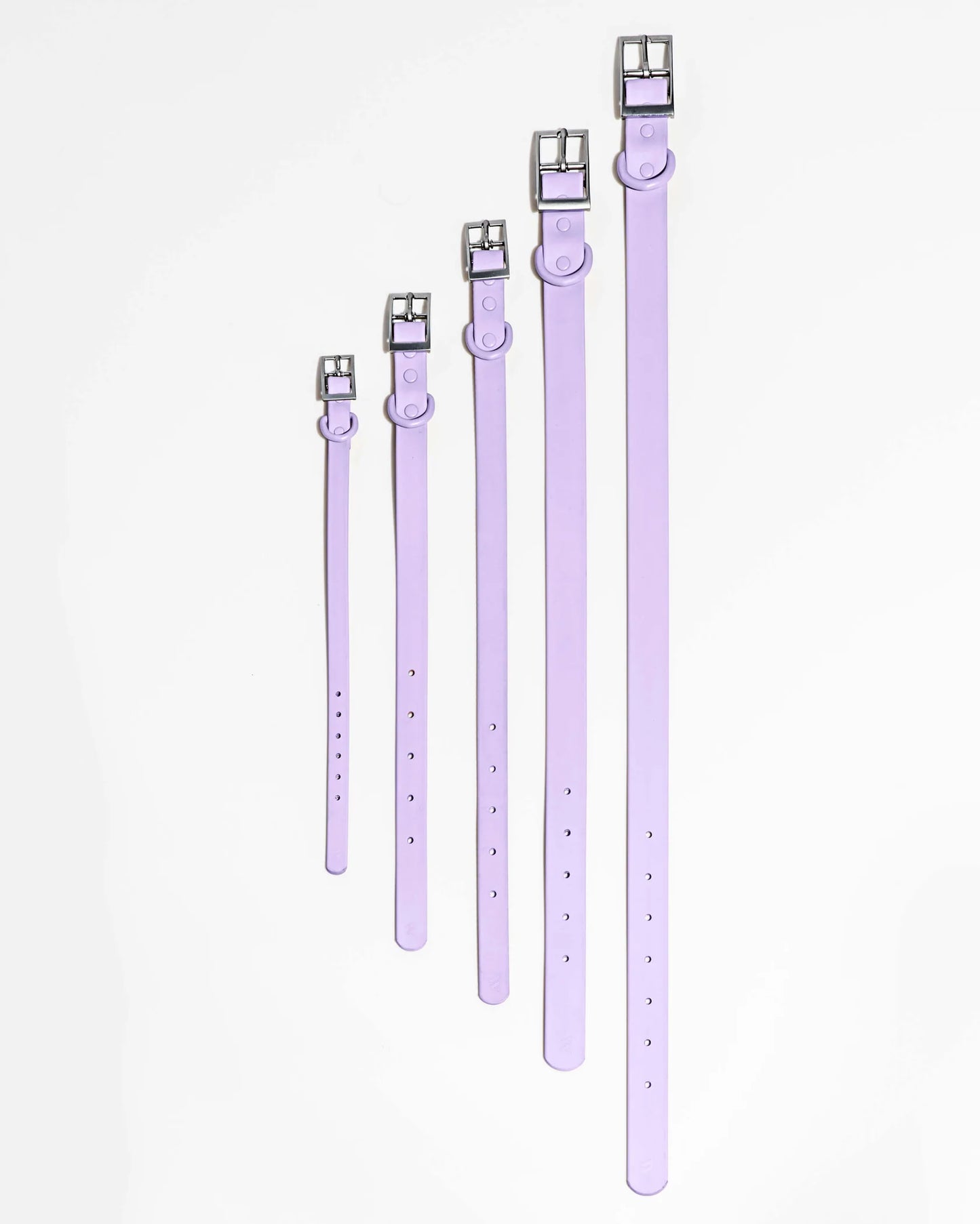 Matcha Green Hundehalsbänder